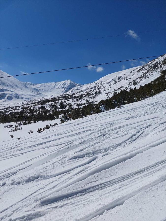 Semiramida Gardens Apartments Borovets Luaran gambar